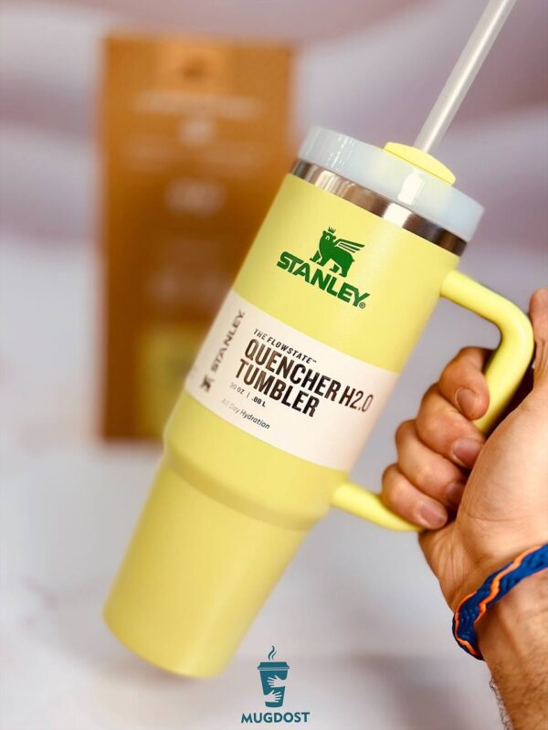 حجم ۸۸۷ میلی‌لیتر ماگ استنلی Quencher