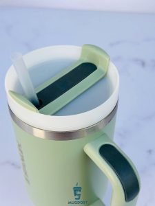 ماگ استنلی نی‌دار سبز