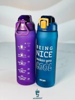 قمقمه و شیکر بزرگ ایون از نمای دیگر