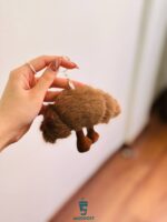 چارم بگ کروسان شکلاتی از نمای پشت