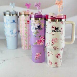 نمای کلی ماگ دمنوش استیل گرد با بدنه شیشه ای پیرکس کروی شفاف و قطعات استیل براق